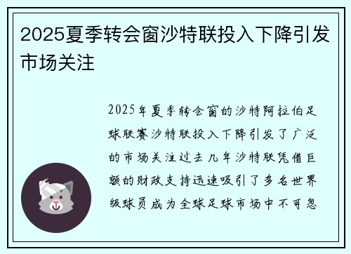 2025夏季转会窗沙特联投入下降引发市场关注 2025夏季转会窗沙特联投入下降引发市场关注